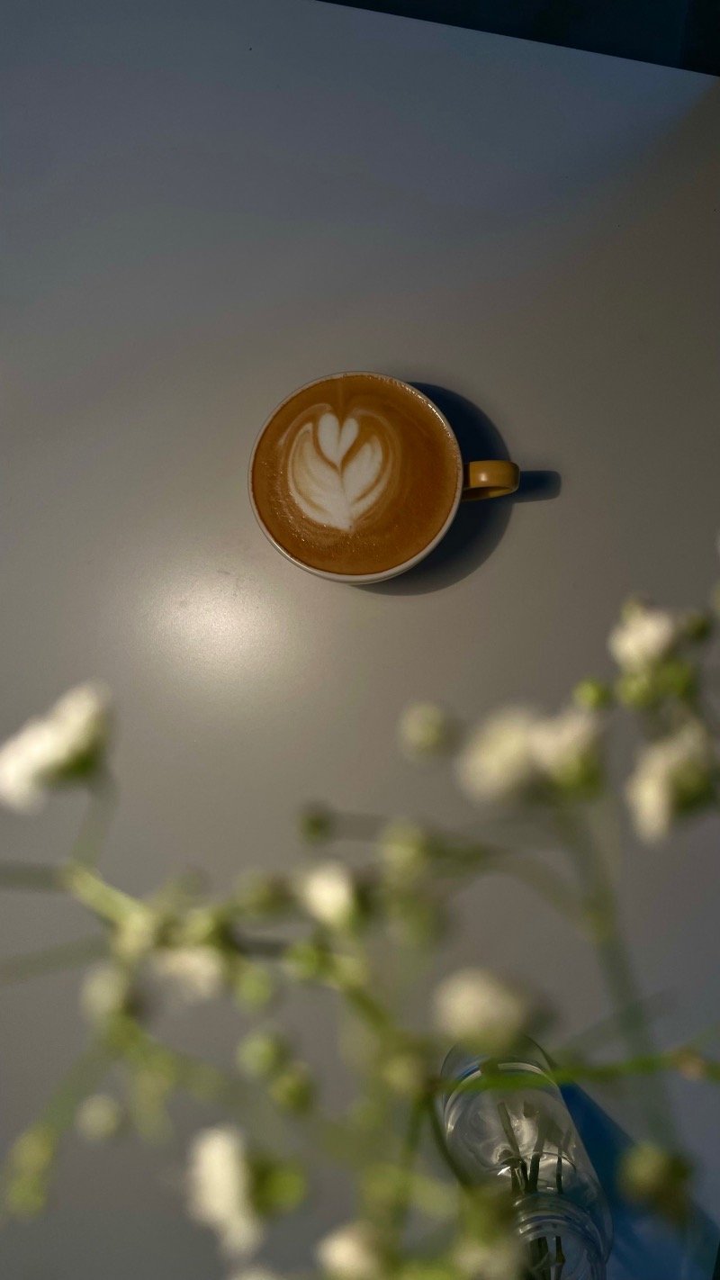 ابرار ال علي