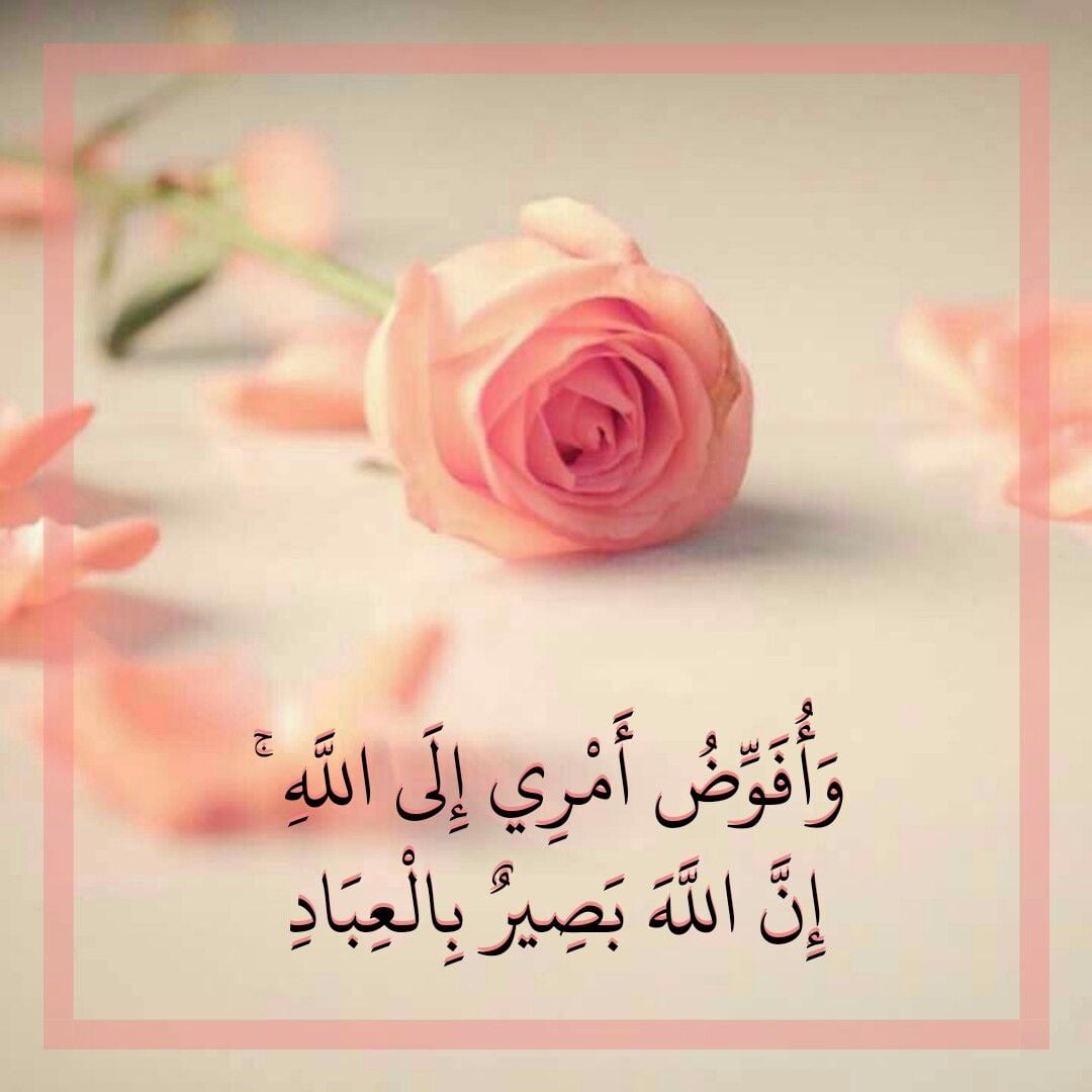 الهنوف الشمري