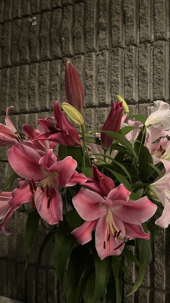 سديم القحطاني