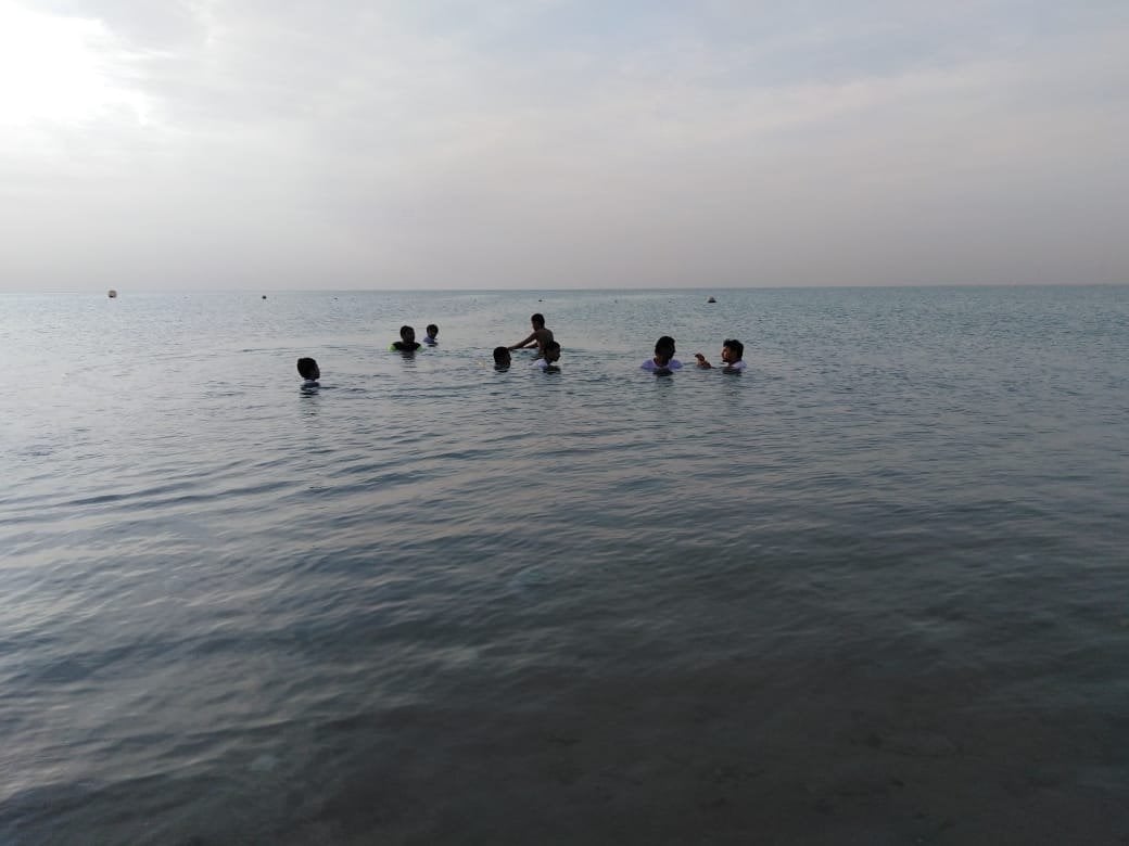 شريف الأركاني