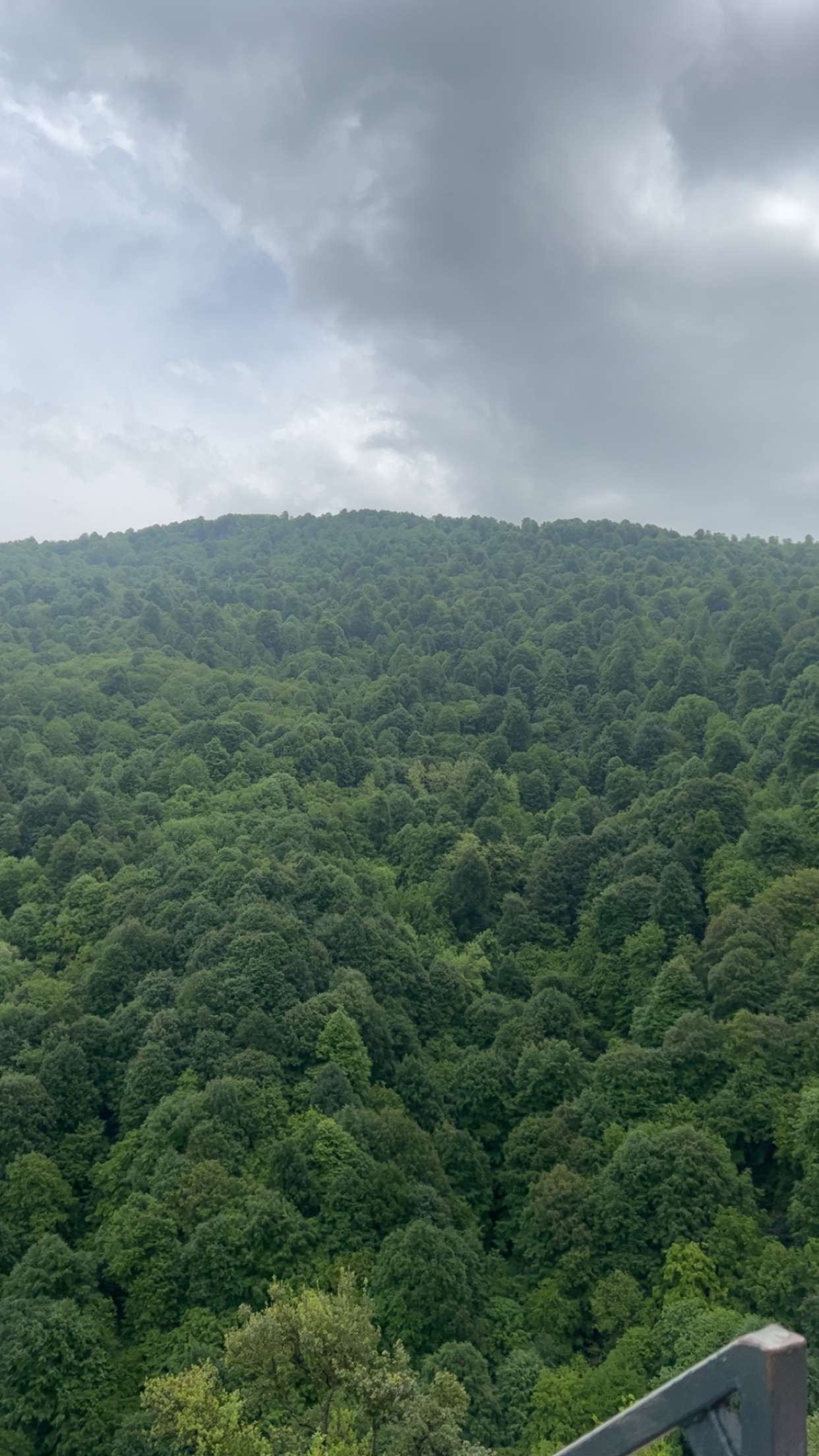 محمد الحربي