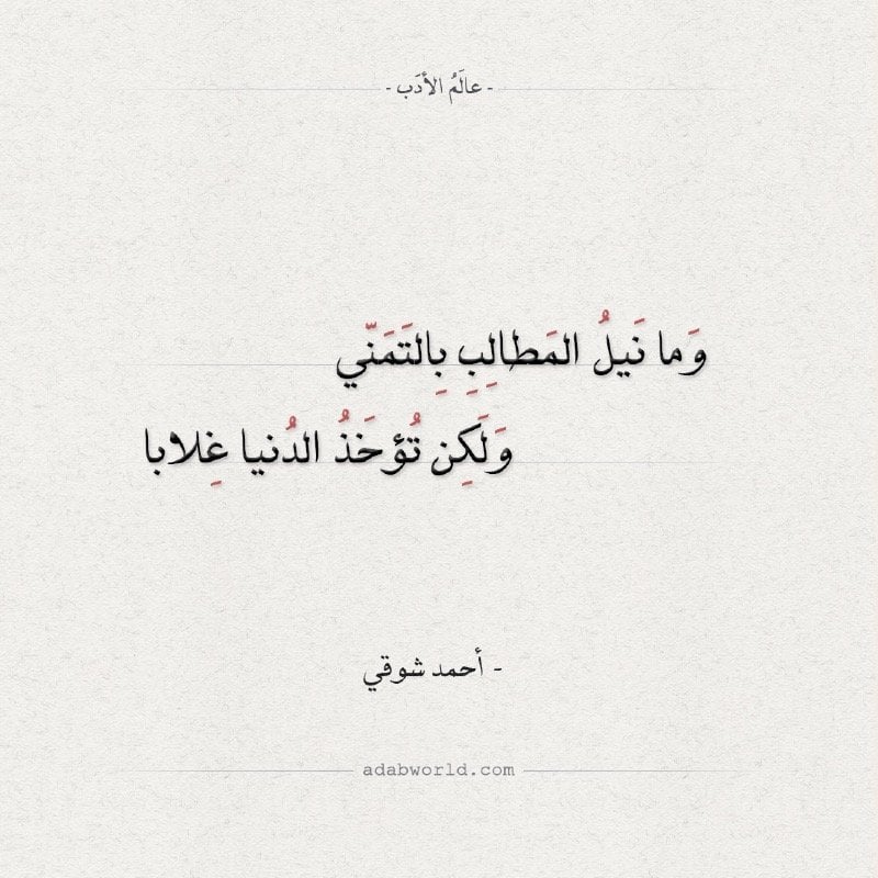 أبو محمد العنزي