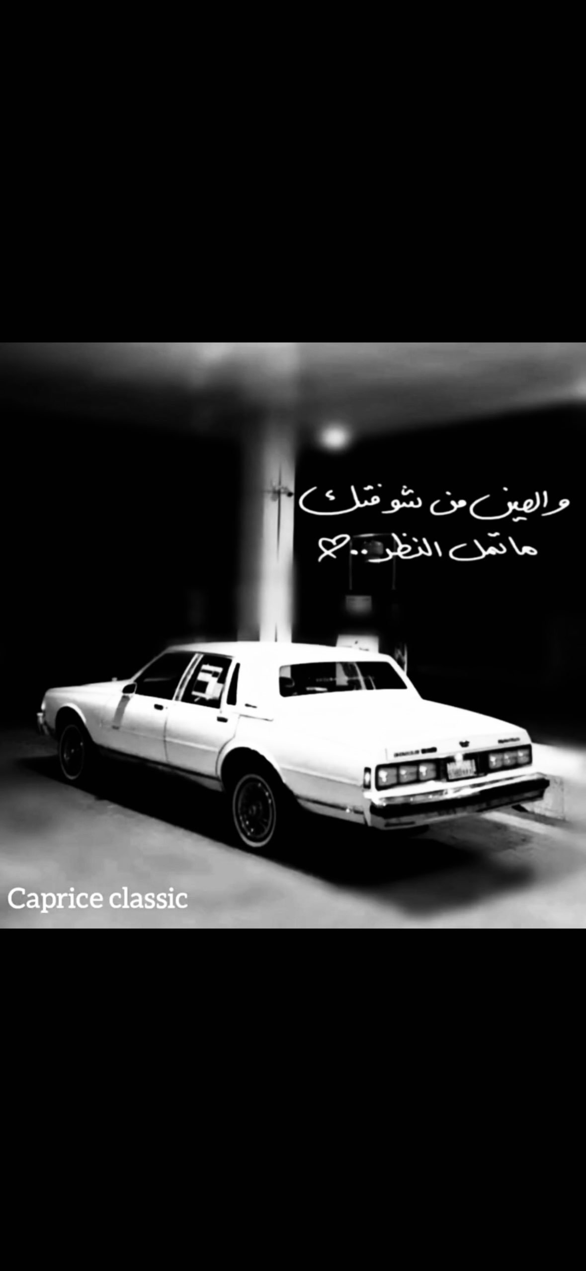 عبدالمجيد الفضيل