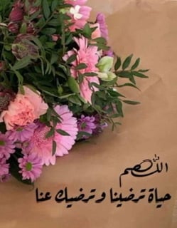 عبير عينوسه