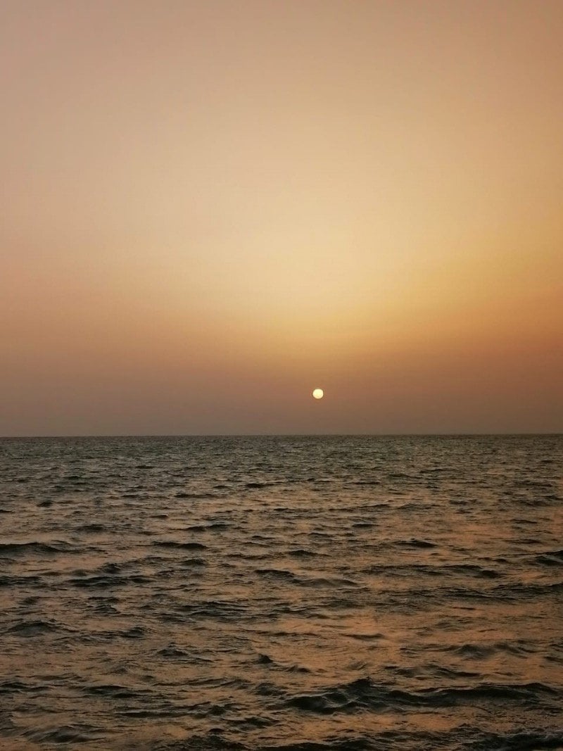 سامي الاحمدي