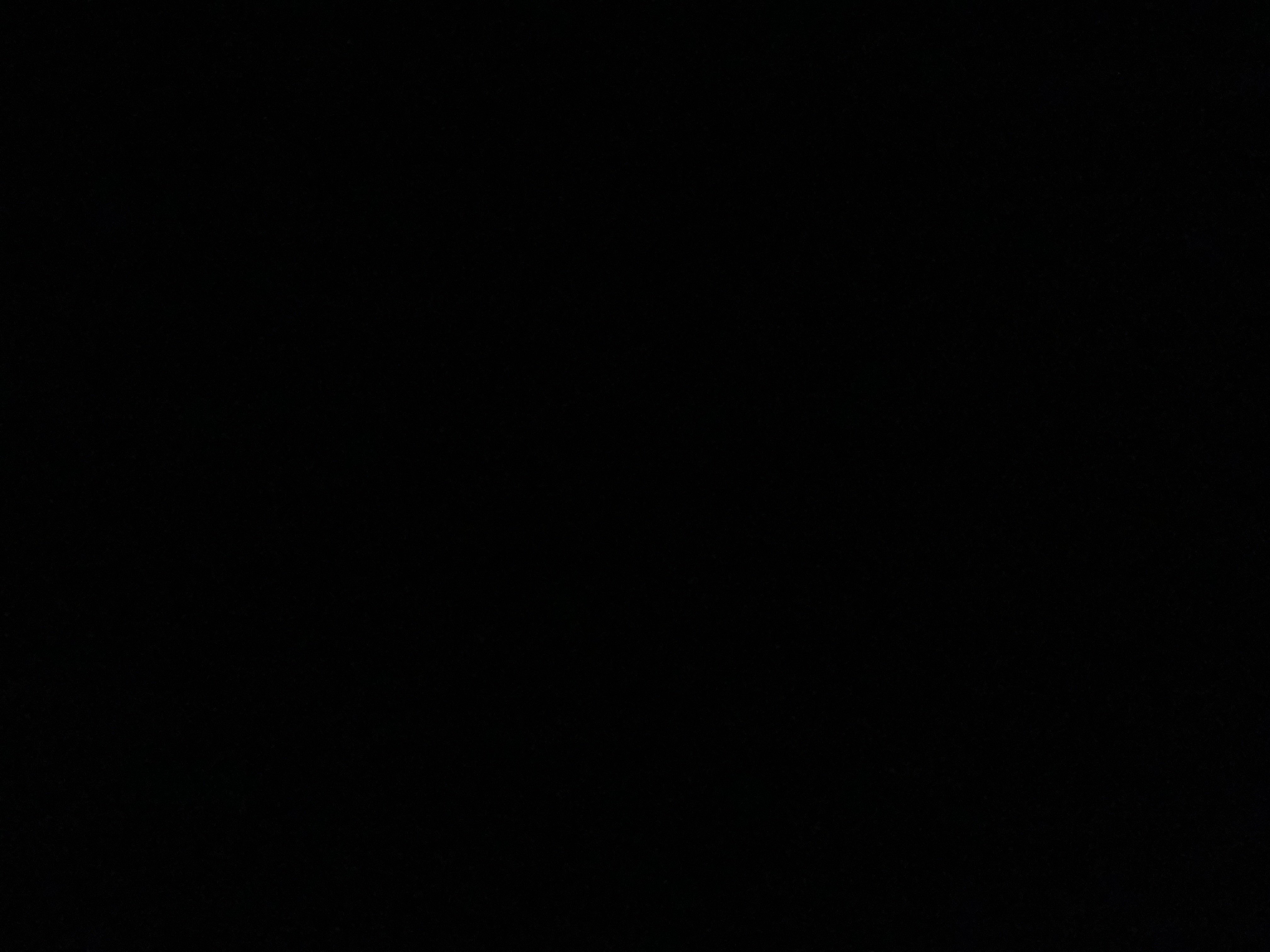 أنوار باشا