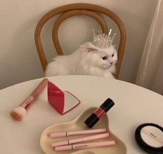 أسماء القرني