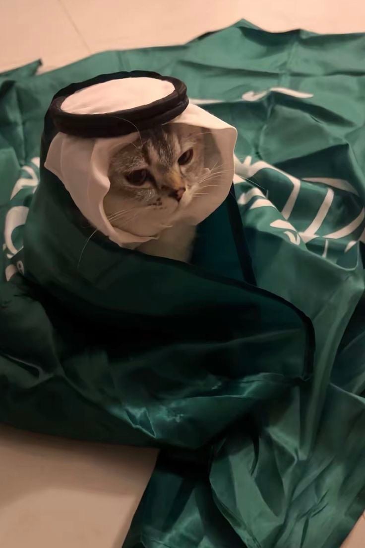 ريما الغفيلي