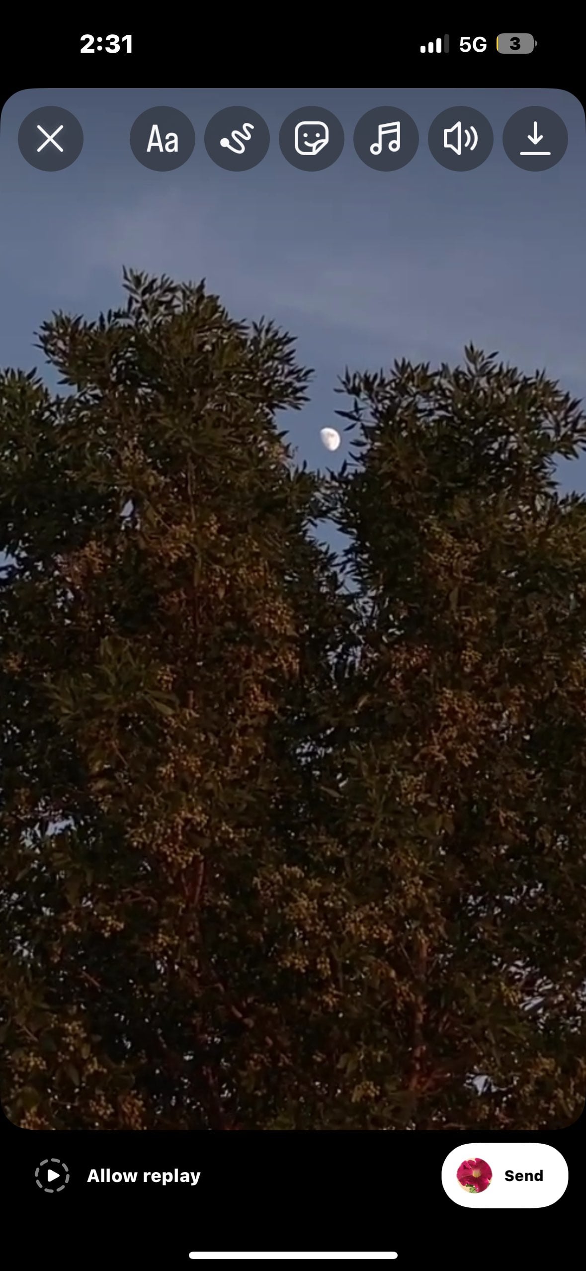 نوره المطيري