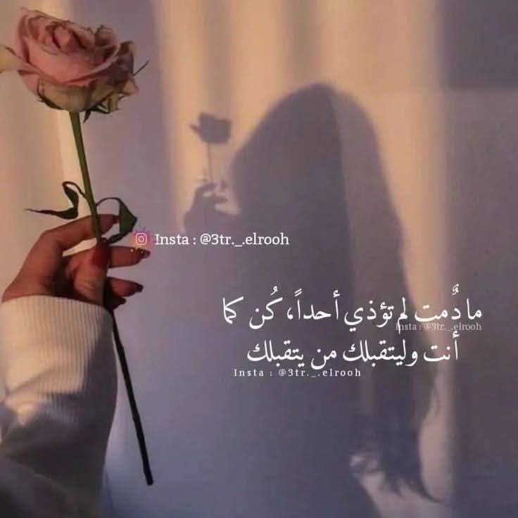 هيفاء الأكلبي