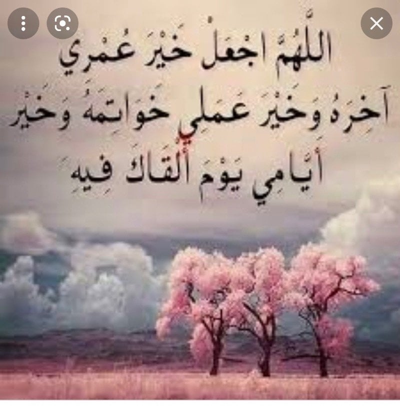 هناء المرعشي