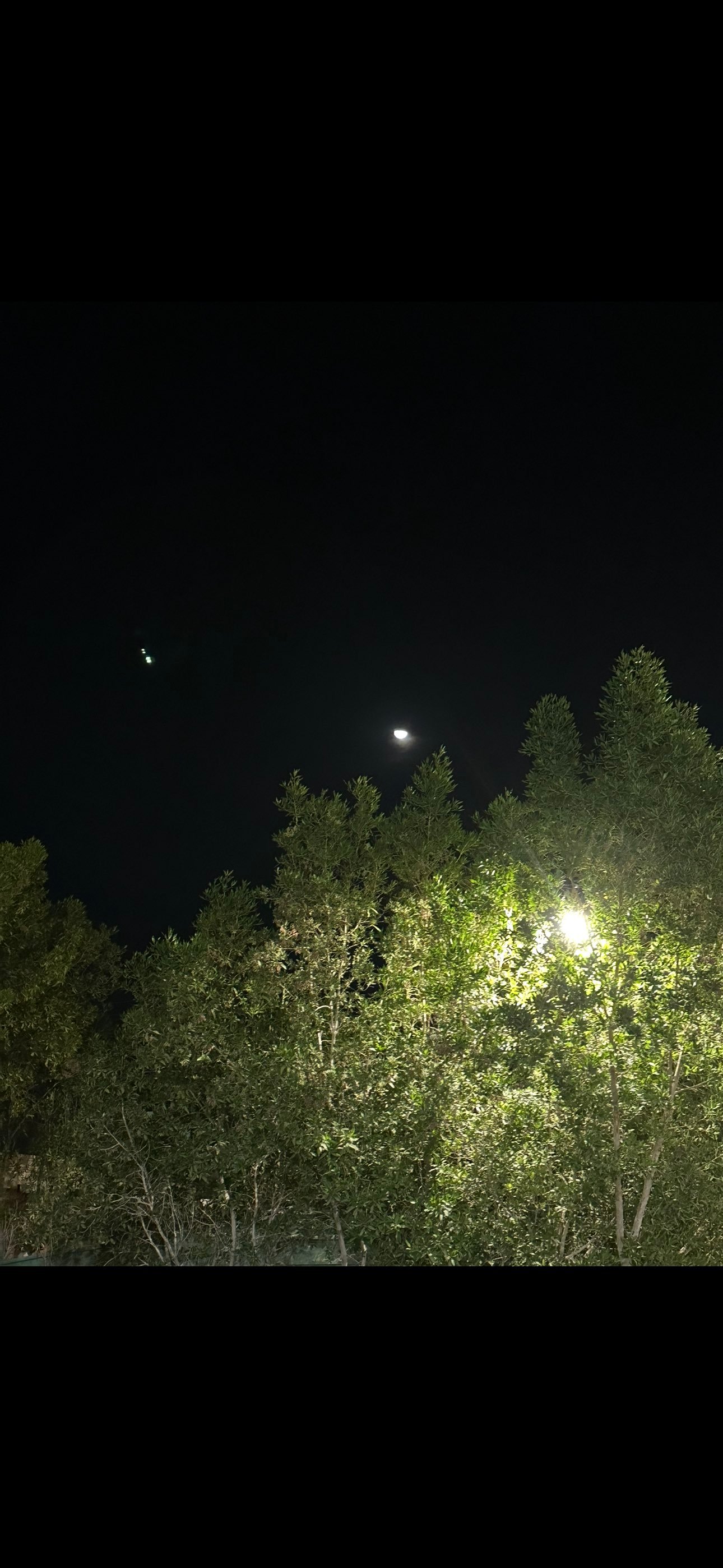 محمد ال طلحه