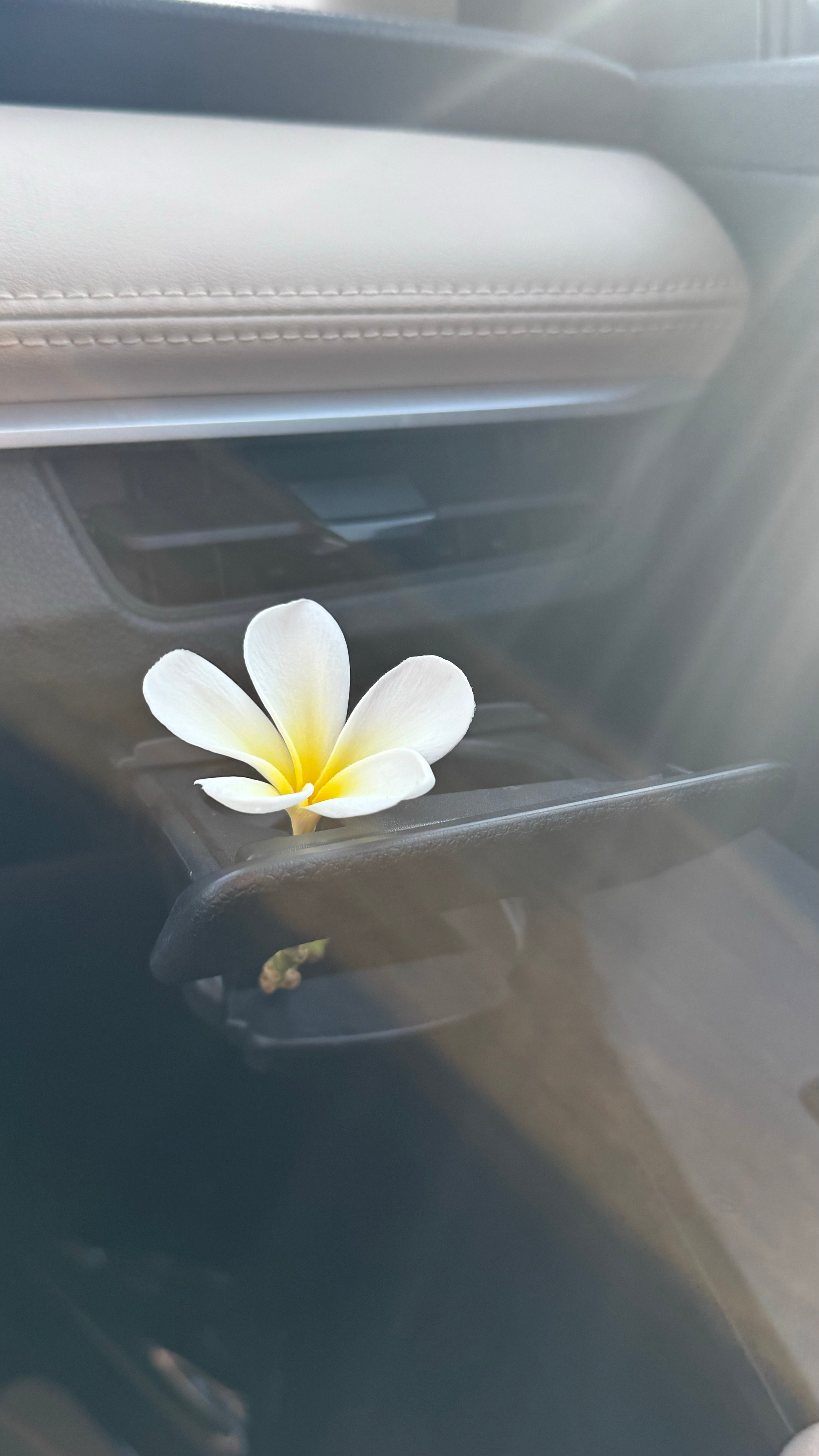 Aseel Aseel Alkhwaher