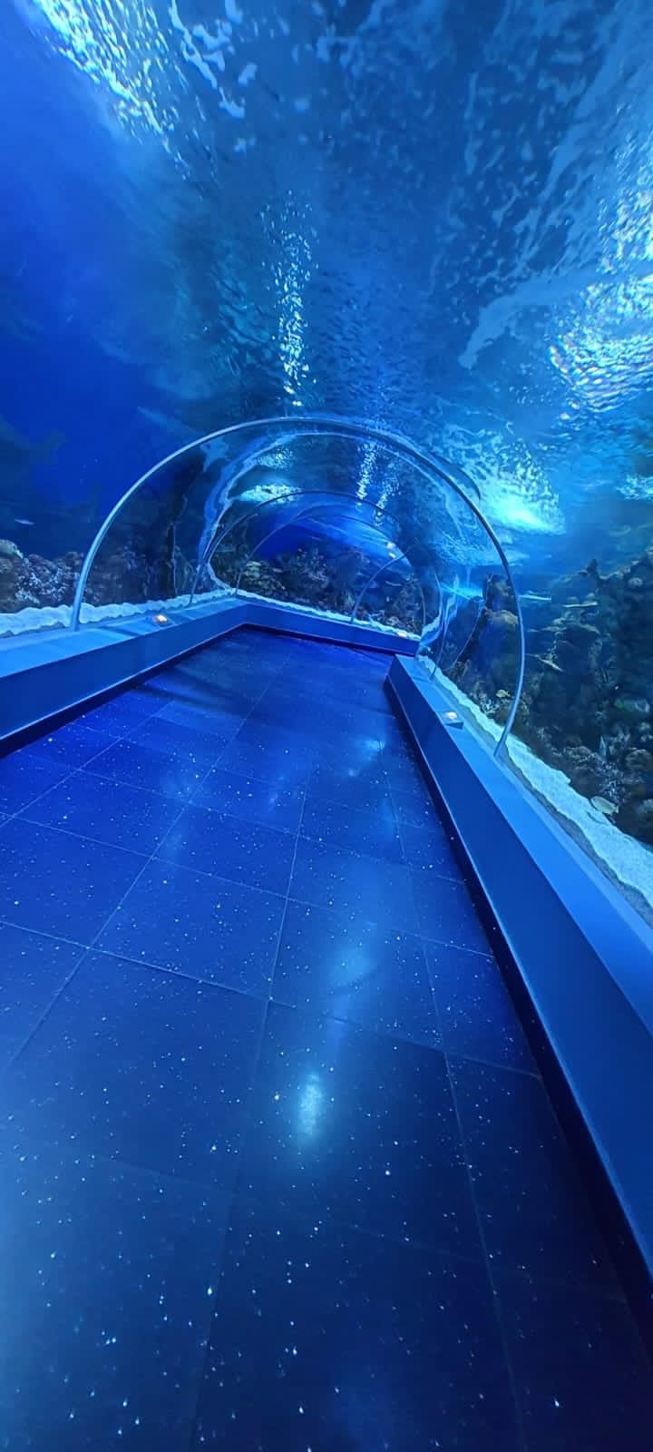 عبدالرحمن 