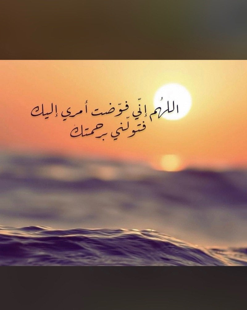 امل احمد مدخلي