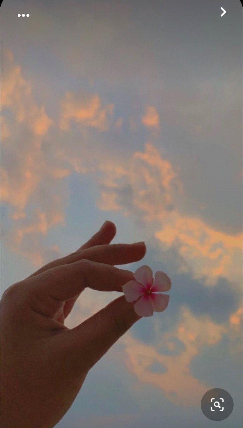 العنود البيشي