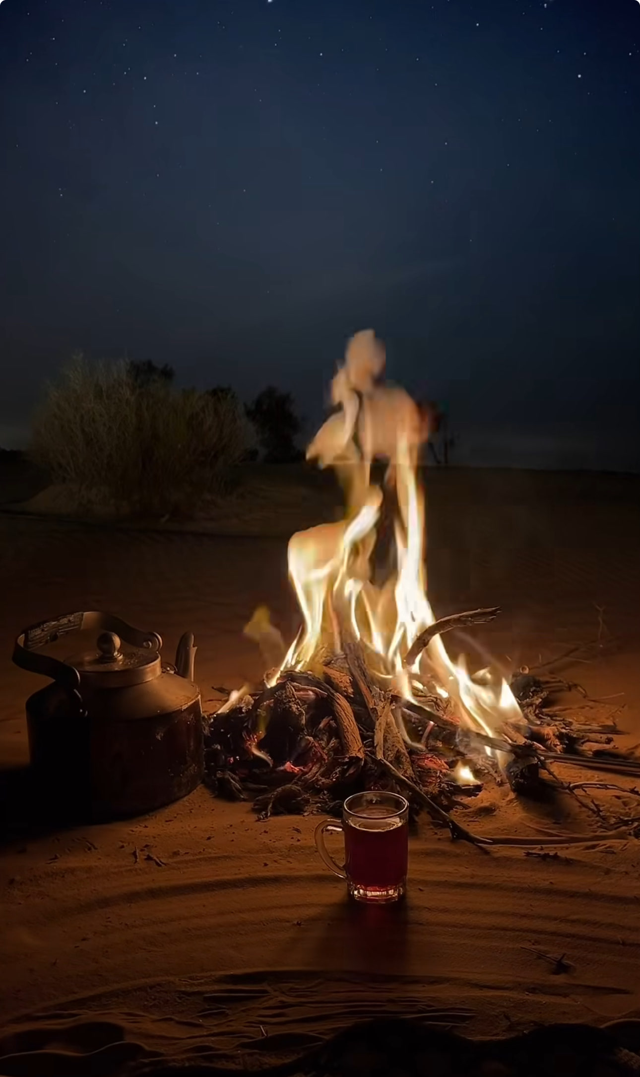 محمد القرشي