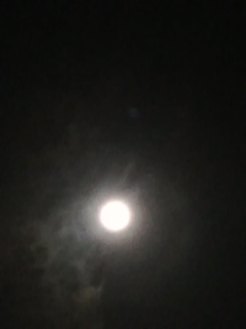 ذكرى العمري