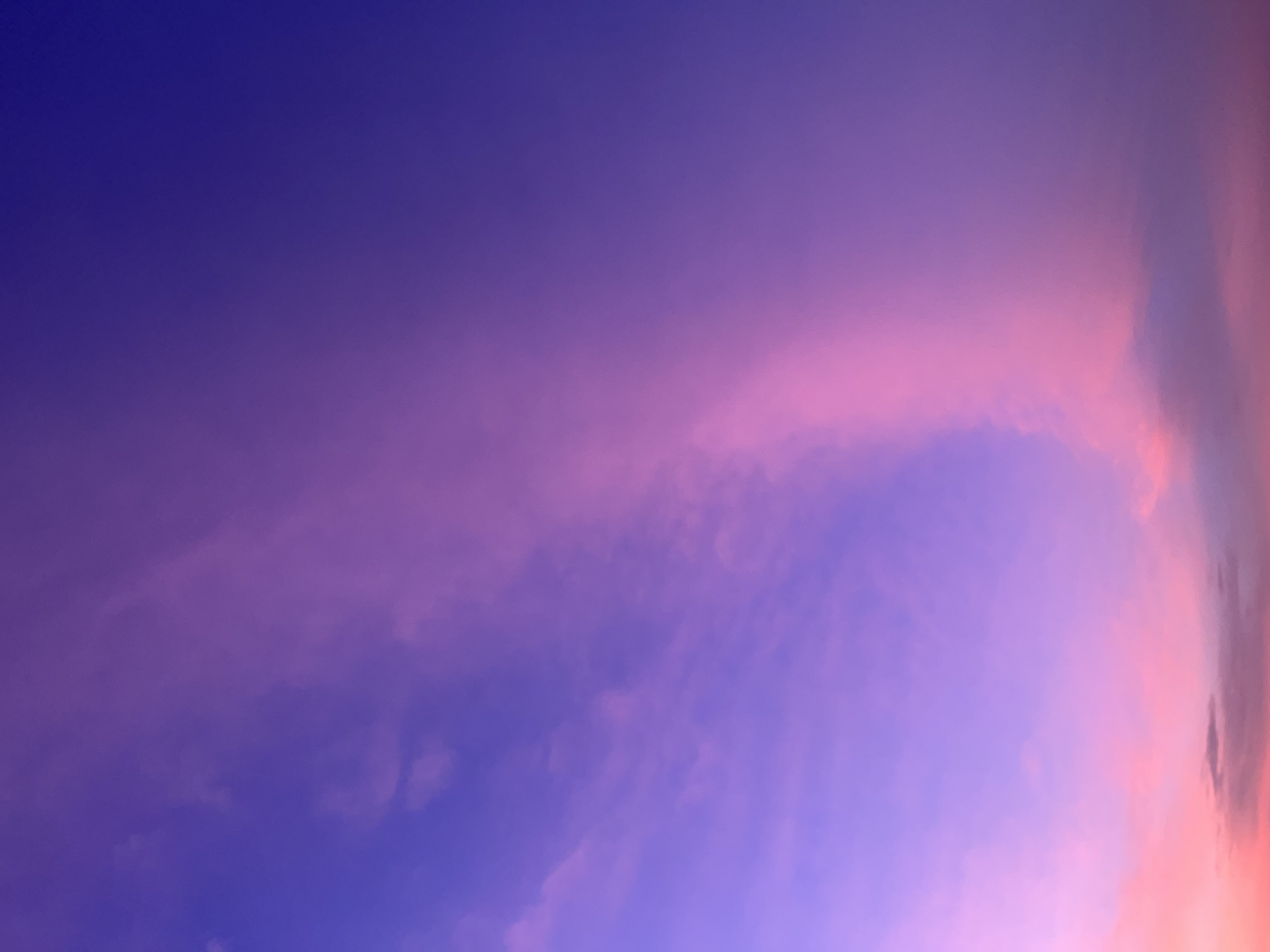 ميم الشهراني