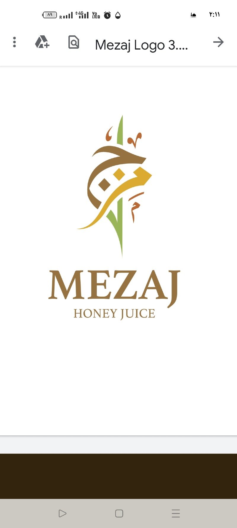 احمد حسن الفرحاتي