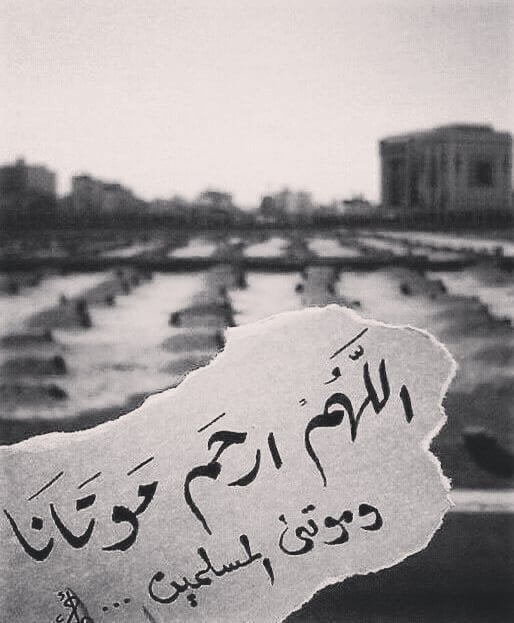 ام يوسف اليوسف