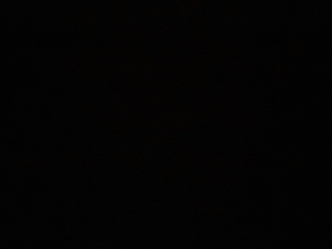 محمود الشمري