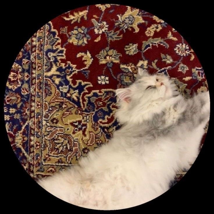 همس القرني