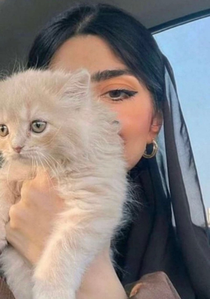 سهم العمراني