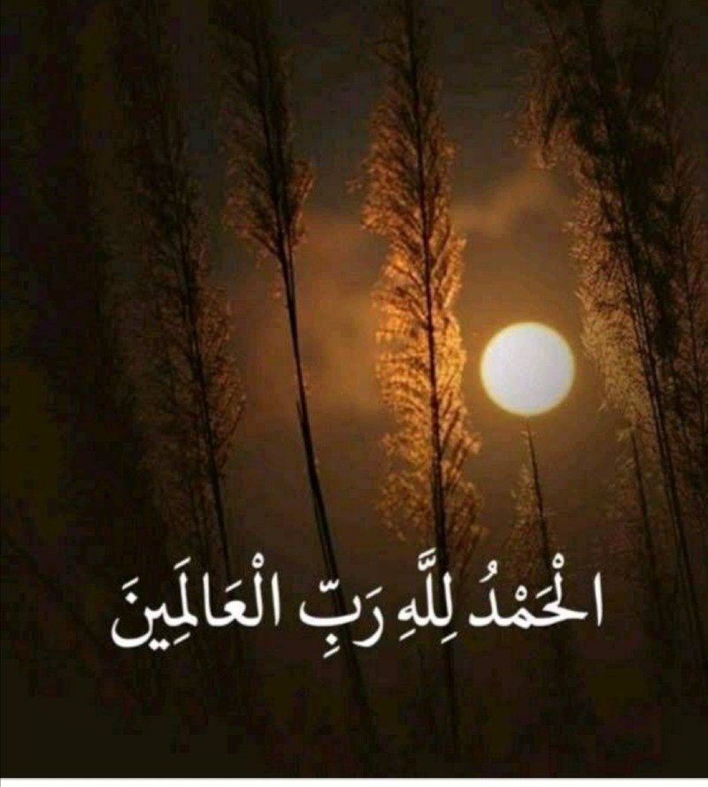 الهام ابراهيم