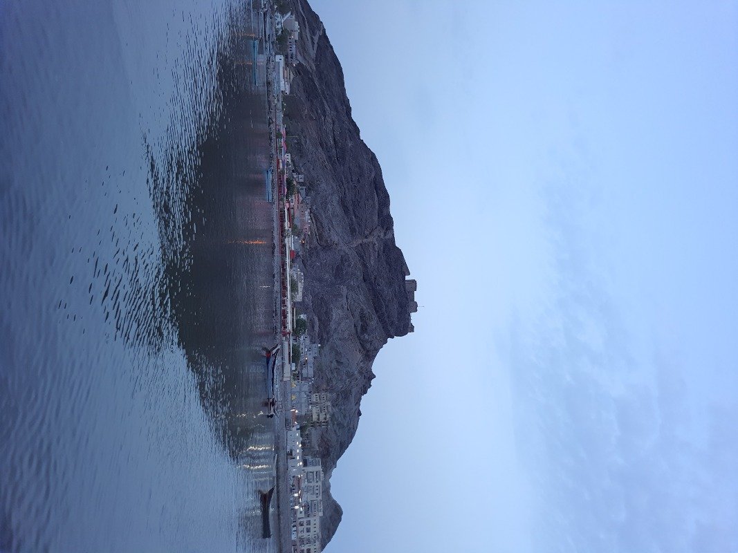 محمد العسيلي