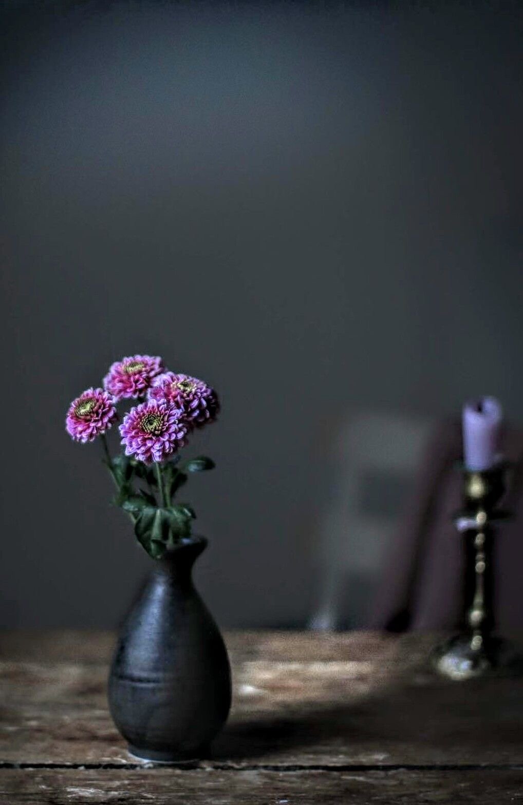 تغريد ابراهيم