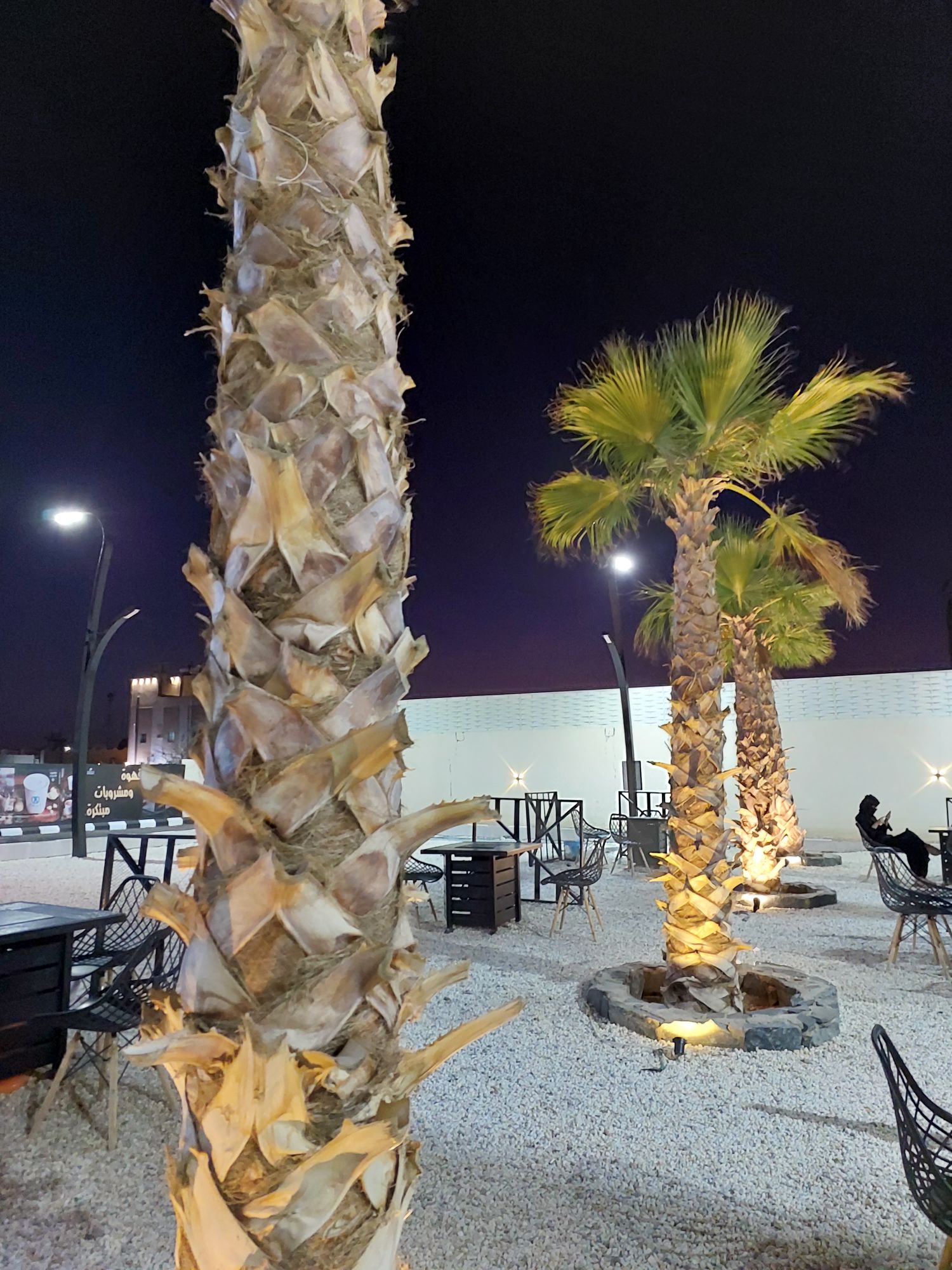 نعيمه العتيبي