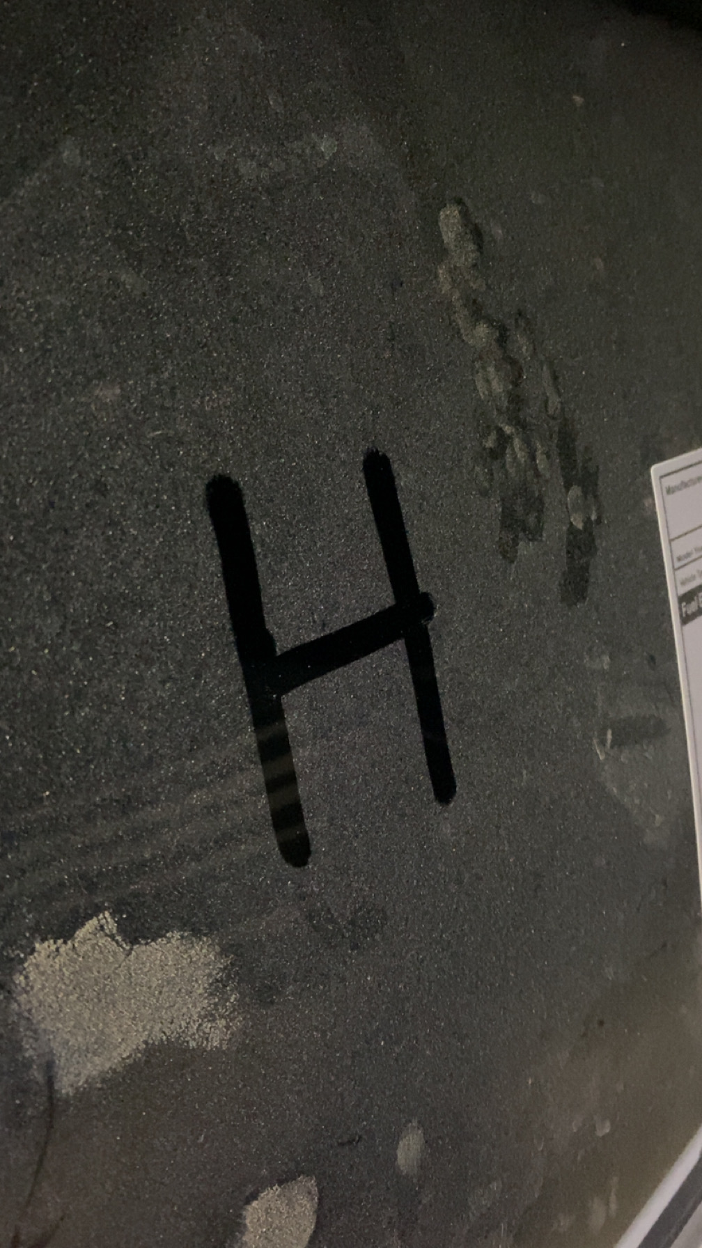 هاني الشيباني