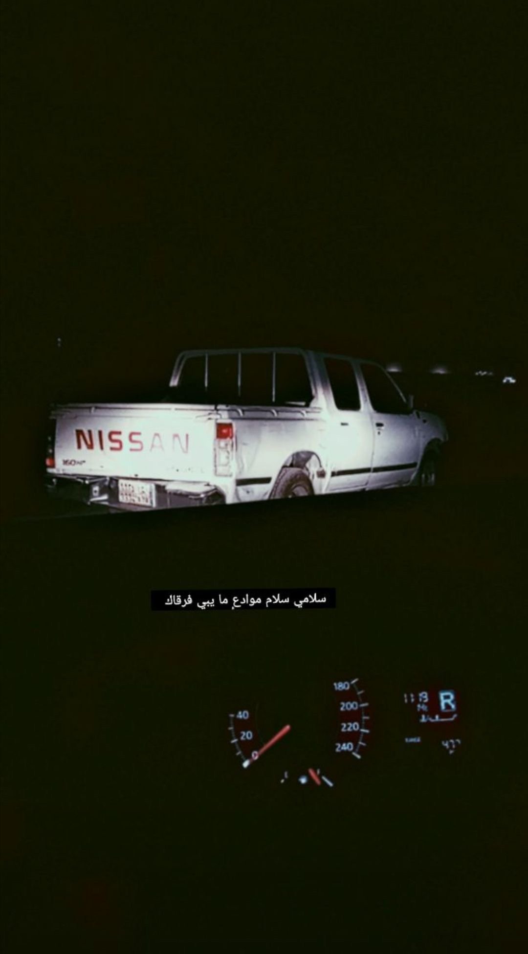 ملك الشهري