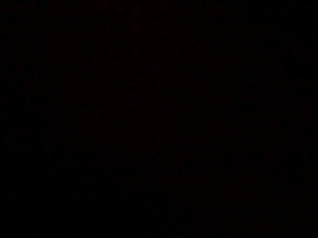 طيف الزهراني