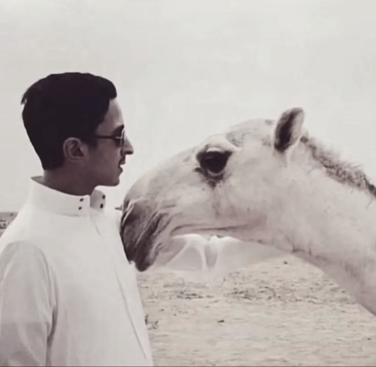 ريماس الشمري