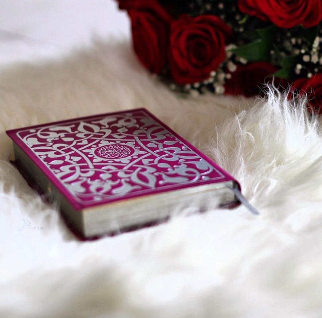 ام سلمان الشهراني