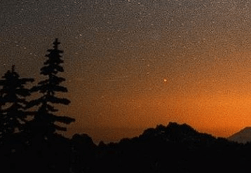 متجر حمد الدريعي