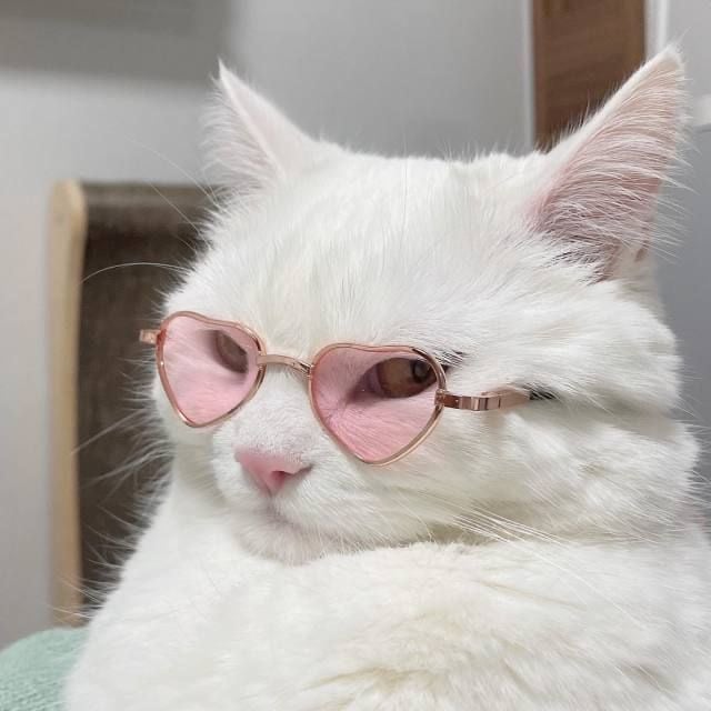 ملاك العتيبي