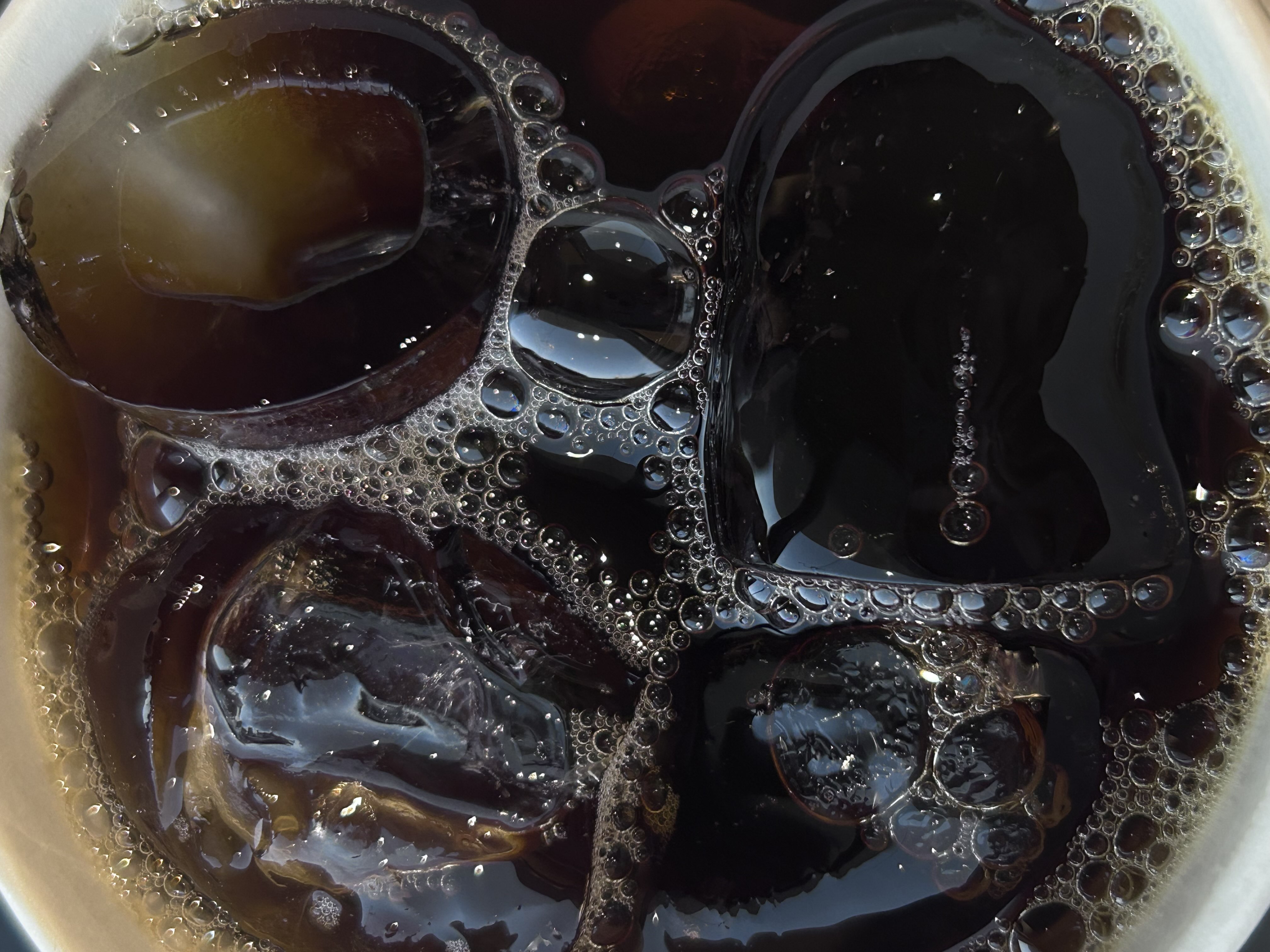 غنى عبدالكريم