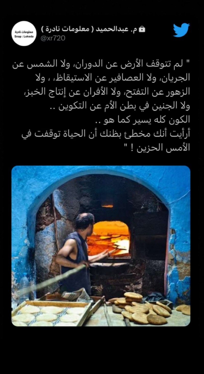 زينب محمد