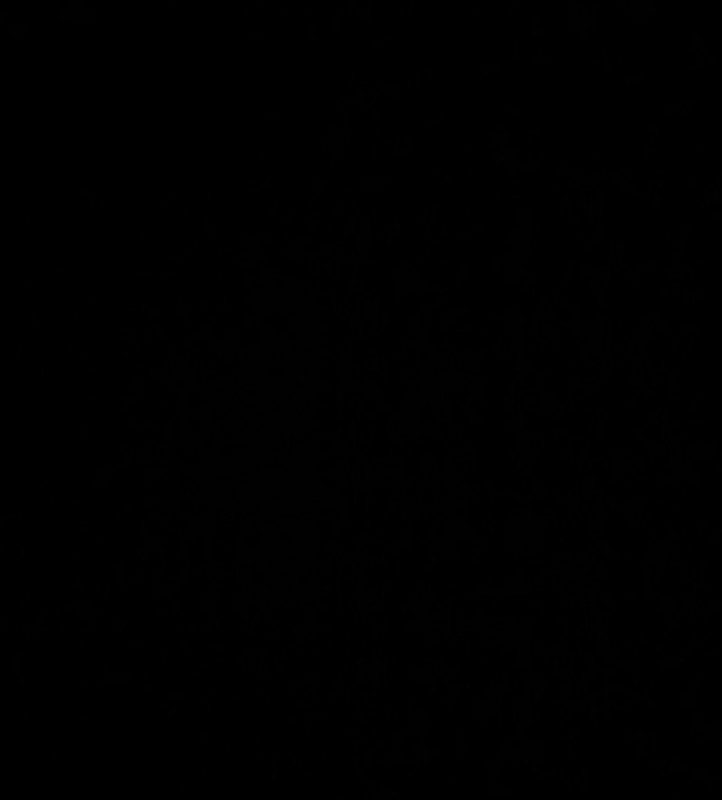 خالد القحطاني
