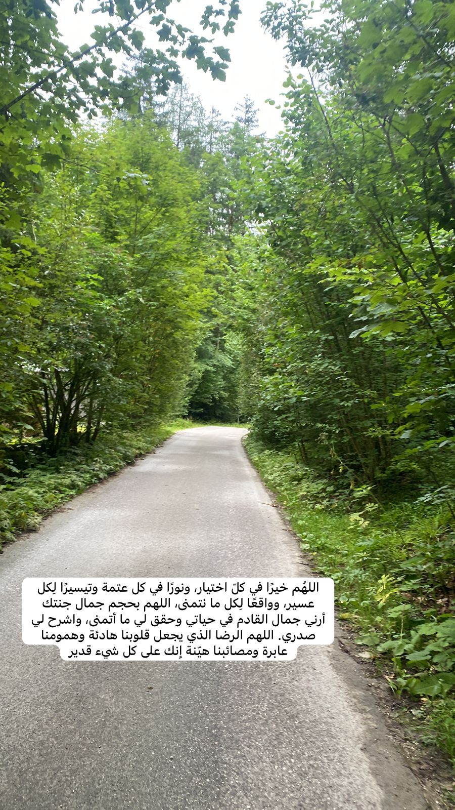 أم معاذ الحربي