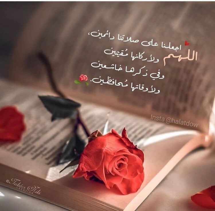 عبدالله الهذلي