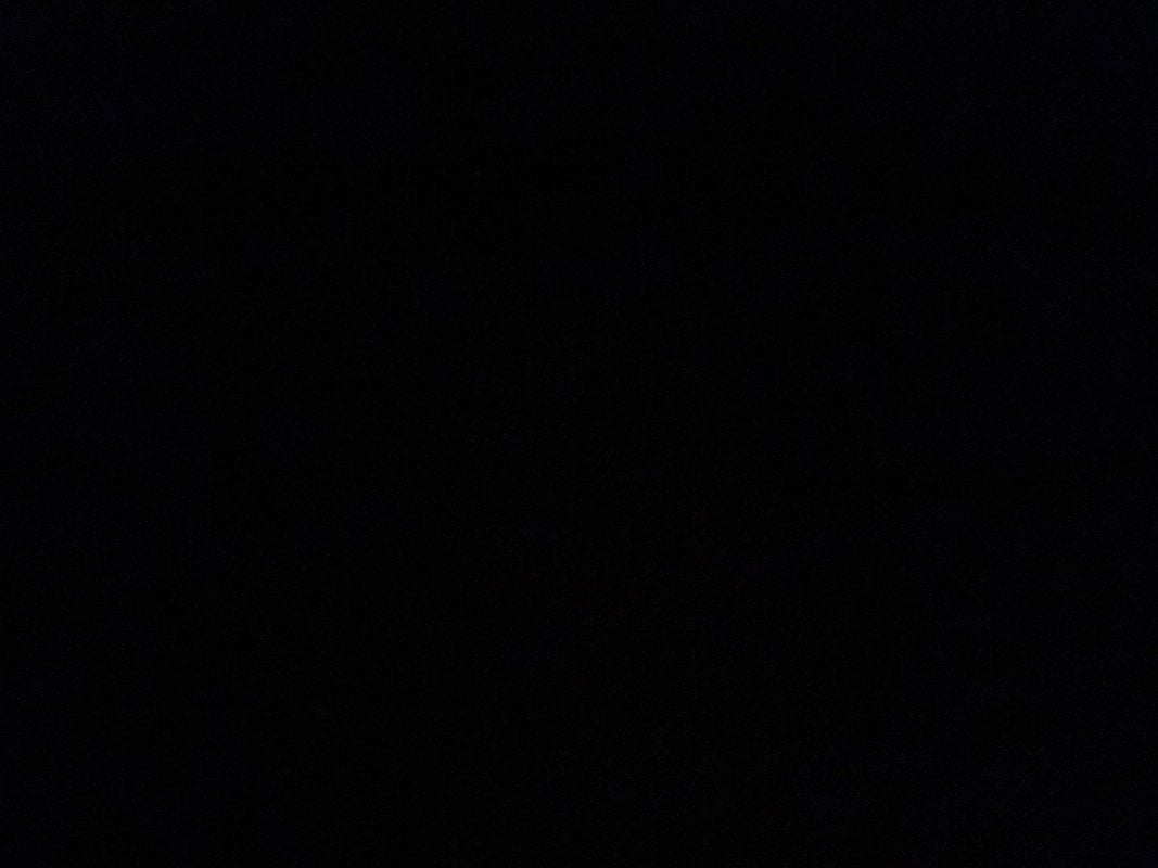نوال الشراري