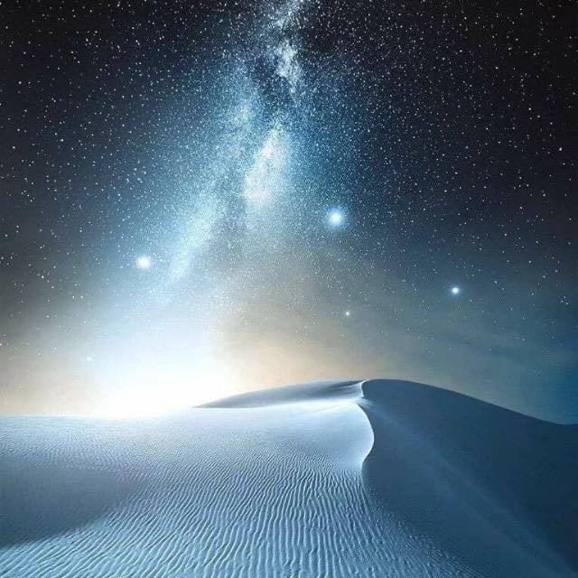 مشاري الضويحي