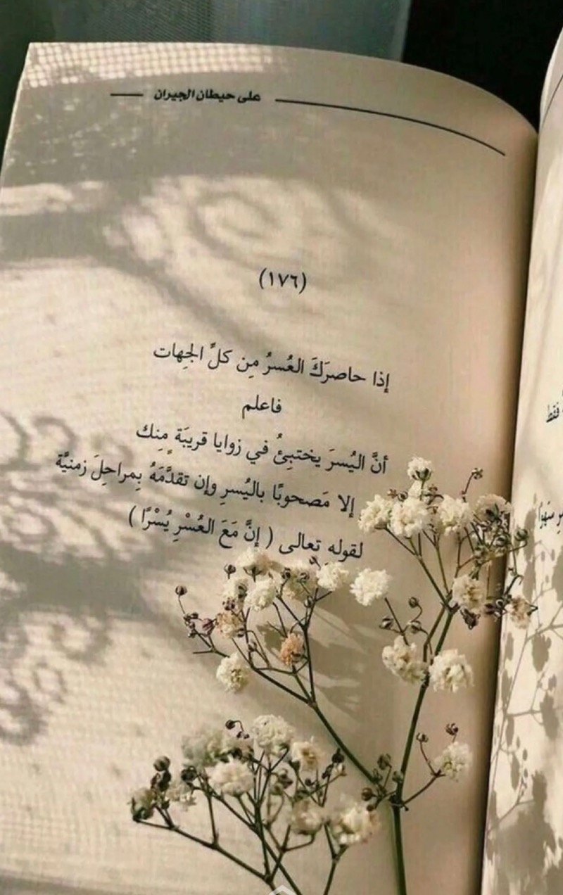 نورة المطيري