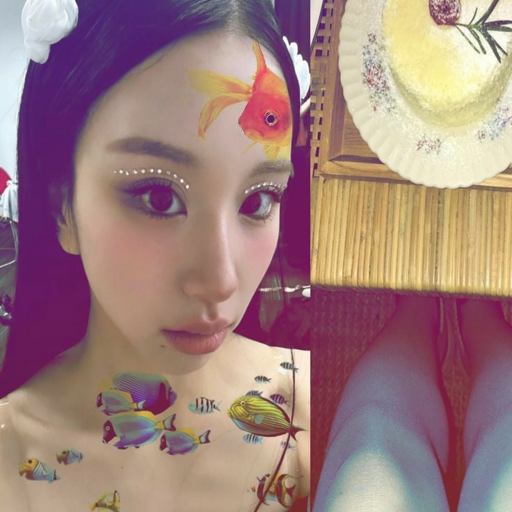 ميار الحربي