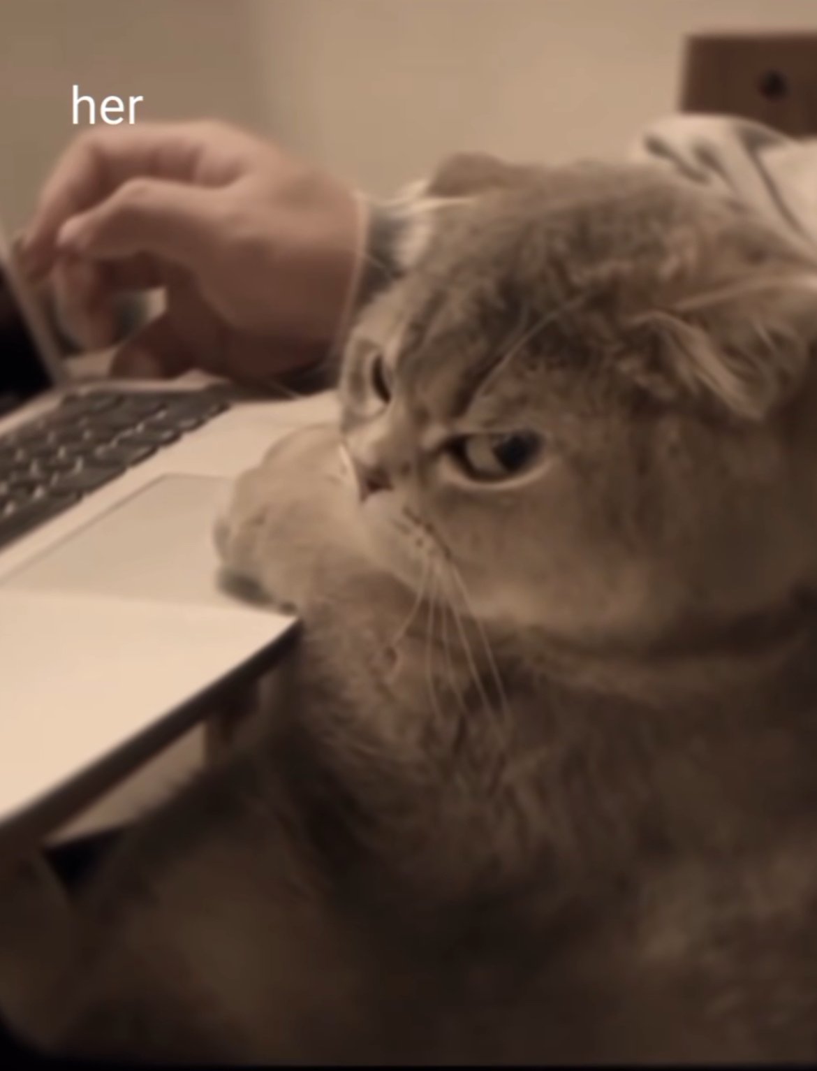 حيدر المسلم