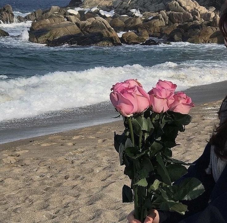 رهف عامر المطيري